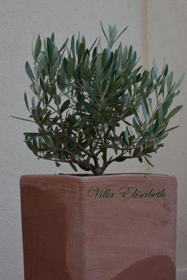 Villa Elisabeth Aix-en-Provence Esterno foto